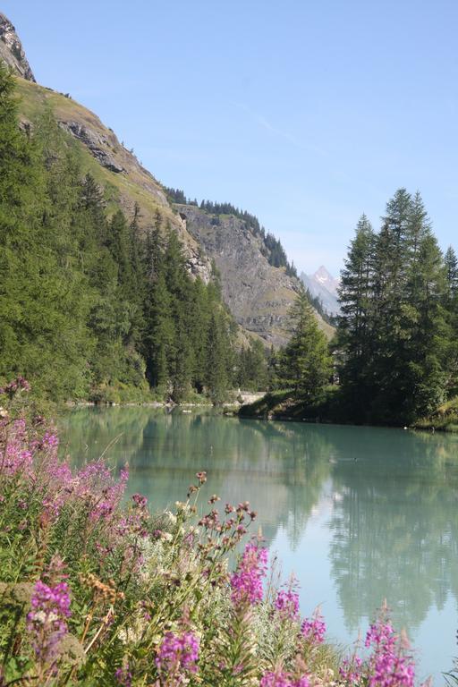 Colettine Villa Tignes Exteriör bild